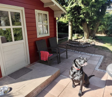 fd4c9156-16ca-4317-8613-cf94b4144725