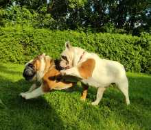 IMG-20230902-WA0005