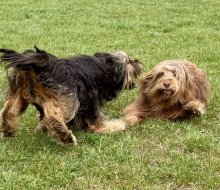 IMG_4540
